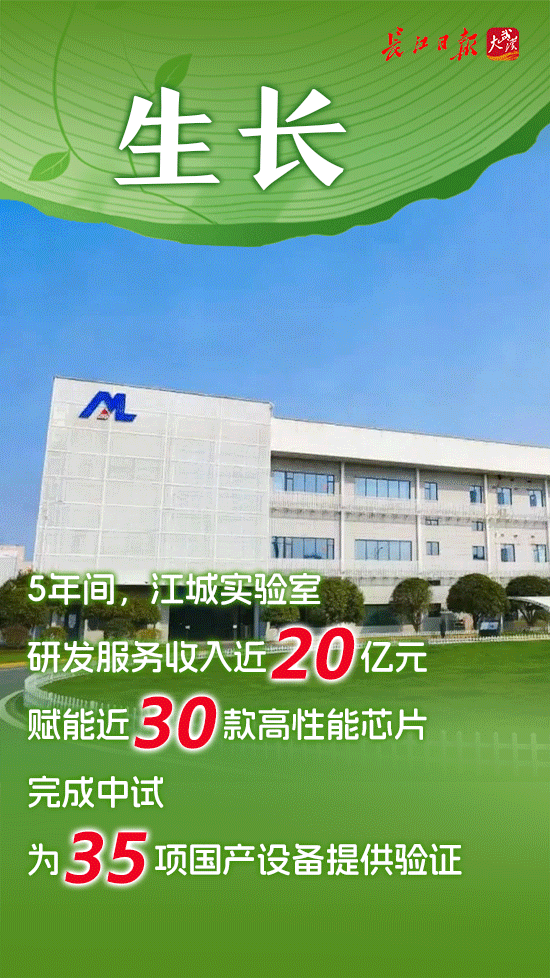 从一棵树到一片林——国家存储产业十年成长记 从一棵树到一片林——国家存储产业十年成长记