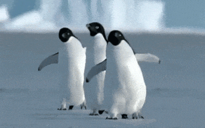 雪天走路“打出溜”?建议你多学企鹅走路 雪天走路“打出溜”?建议你多学企鹅走路
