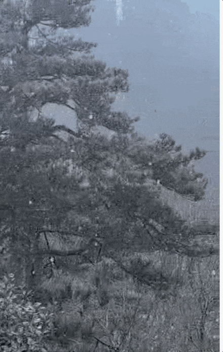 雨雪大风齐至,杭州局地飘雪!浙江气温开启过山车模式 雨雪大风齐至,杭州局地飘雪!浙江气温开启过山车模式