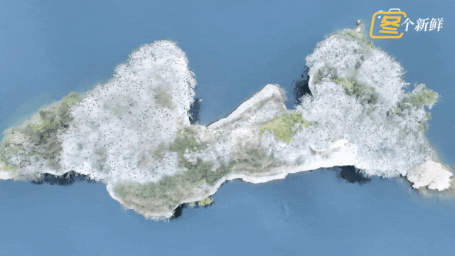 震撼!杭州千岛湖惊现一座“黑色小岛” 震撼!杭州千岛湖惊现一座“黑色小岛”