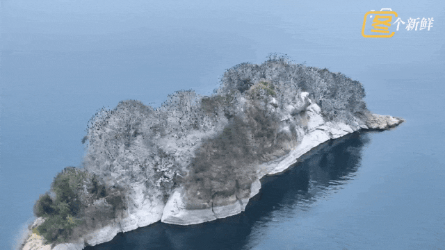 震撼!杭州千岛湖惊现一座“黑色小岛” 震撼!杭州千岛湖惊现一座“黑色小岛”