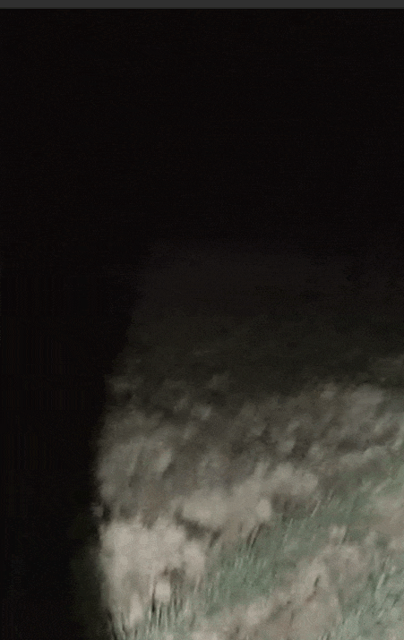 0℃寒夜,值班民警隐约听到声呼喊……万幸! 0℃寒夜,值班民警隐约听到声呼喊……万幸!