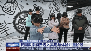 一组数据看懂我国数字消费潜力