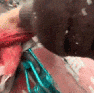 常州“美女大力士”爆火！还有隐藏身份……