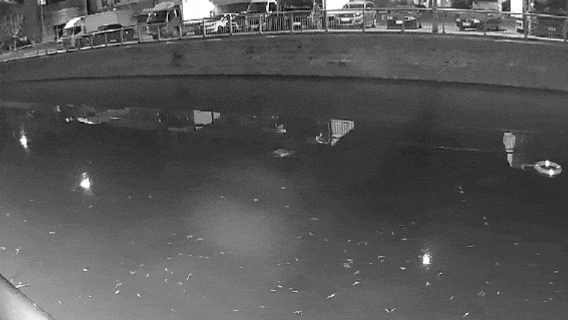 3分钟能做什么？他们：救回一条命