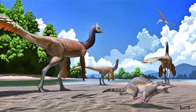 首次发现白垩纪哺乳形类足迹