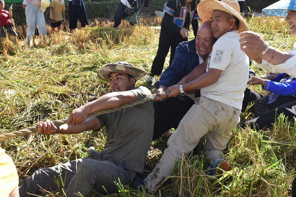追光丨运动过节,中国农民“丰”景独好