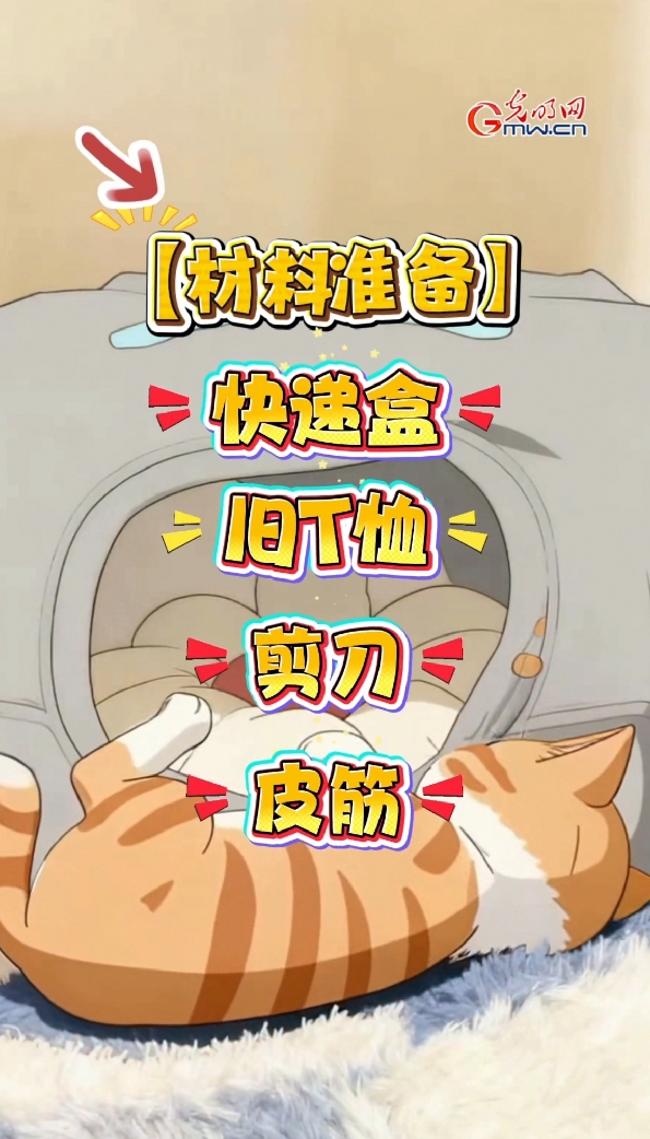 生活新“俭”法｜快递收到爽，盒子堆成山？三招改造成猫咪小窝