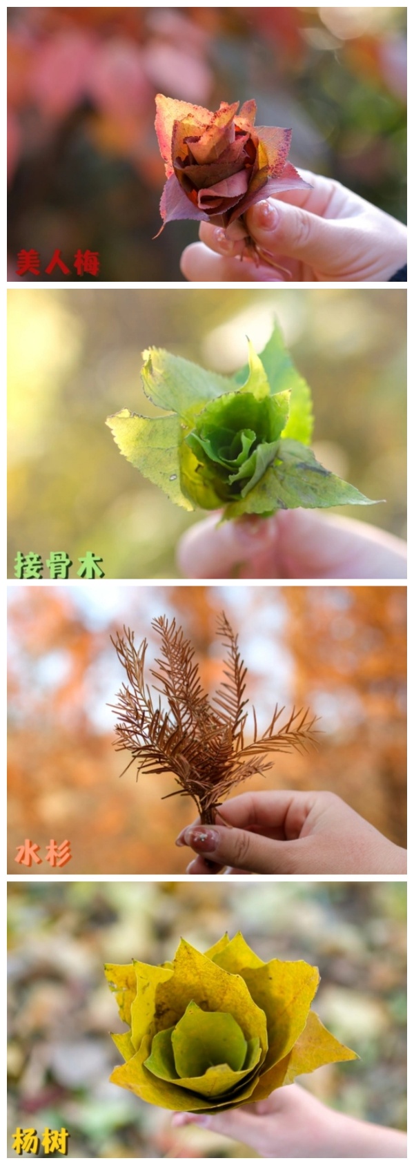 生活新“俭”法|谁说勤俭要“吃土”?这波妙招让你日子超有质感 生活新“俭”法|谁说勤俭要“吃土”?这波妙招让你日子超有质感