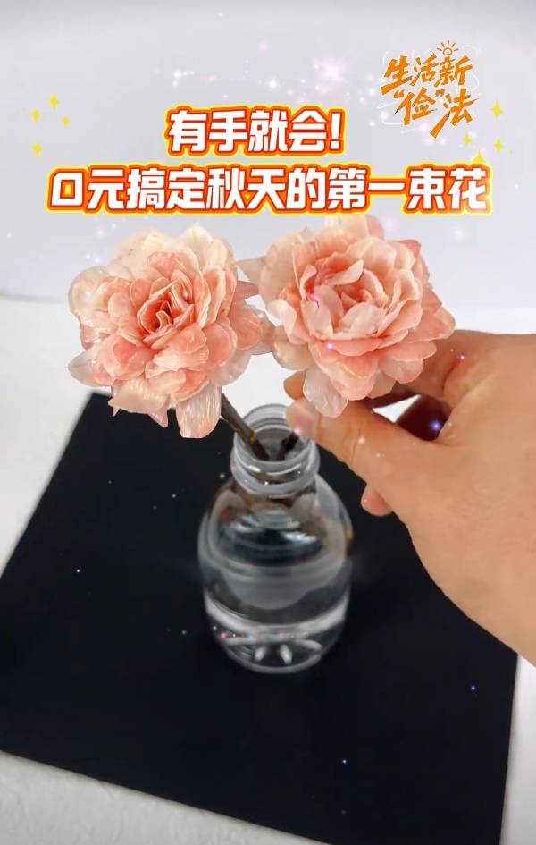 生活新“俭”法|谁说勤俭要“吃土”?这波妙招让你日子超有质感 生活新“俭”法|谁说勤俭要“吃土”?这波妙招让你日子超有质感