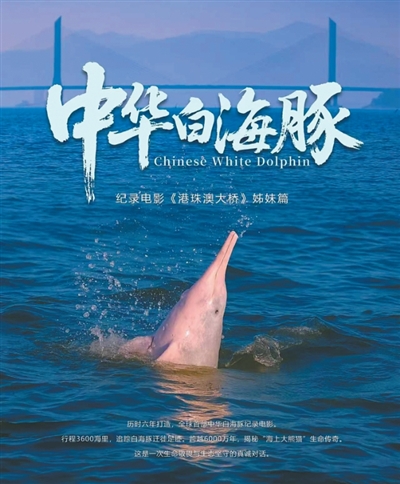 “慢是一种力量,真是一种抵达”