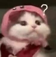 追光｜全运会还没开幕，怎么这些比赛都比完了？