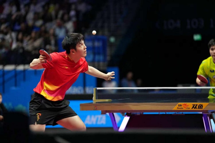 十五运会丨樊振东男单夺冠:卫冕之后,步履不停 十五运会丨樊振东男单夺冠:卫冕之后,步履不停