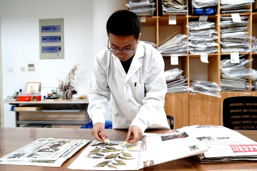 国家野生植物库辰山中心:种子存量突破一亿粒