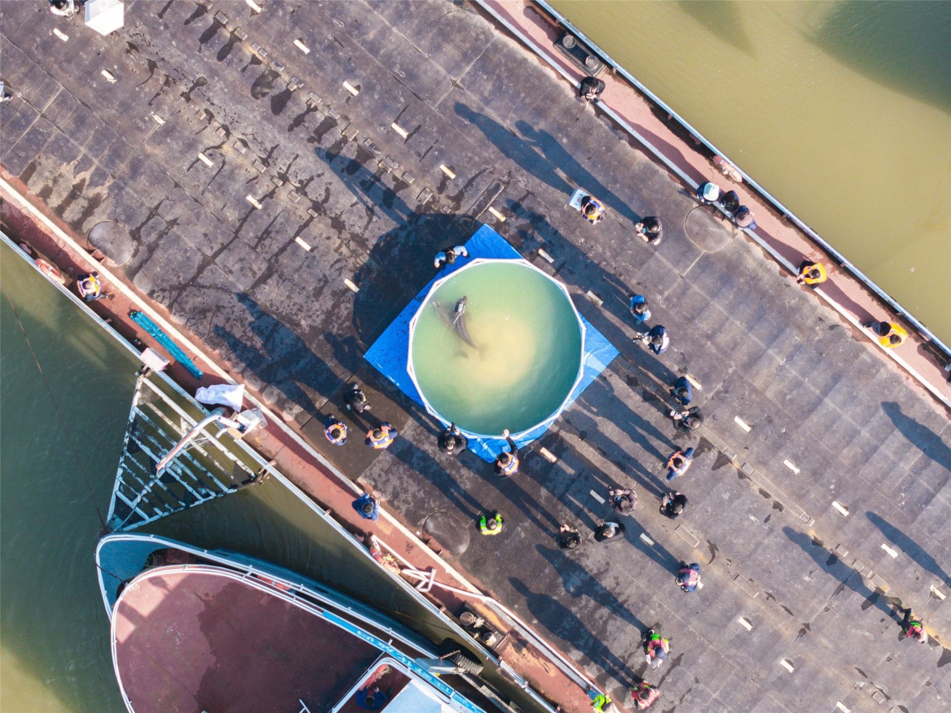 总书记关切事丨以奋斗之笔 答硬核之卷 总书记关切事丨以奋斗之笔 答硬核之卷