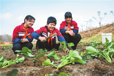 田间课堂学农事