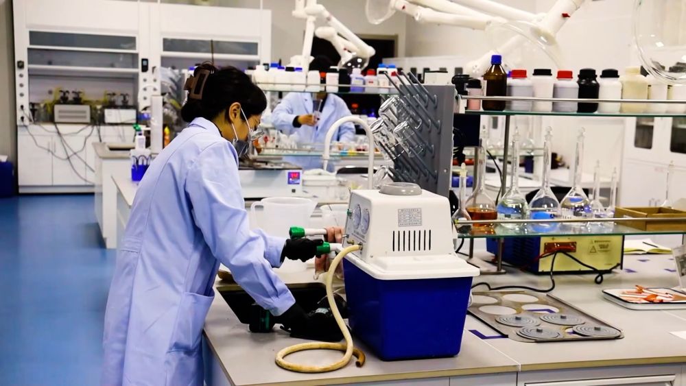 锻造新引擎：创新改革引领新质生产力发展