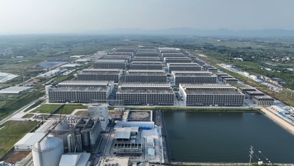 锻造新引擎：创新改革引领新质生产力发展