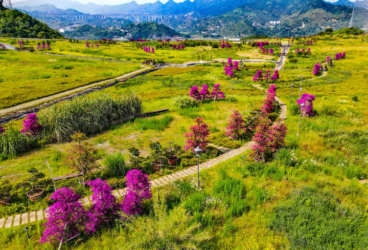 勇担上游责任 守护碧水东流——重庆筑牢长江上游生态屏障观察