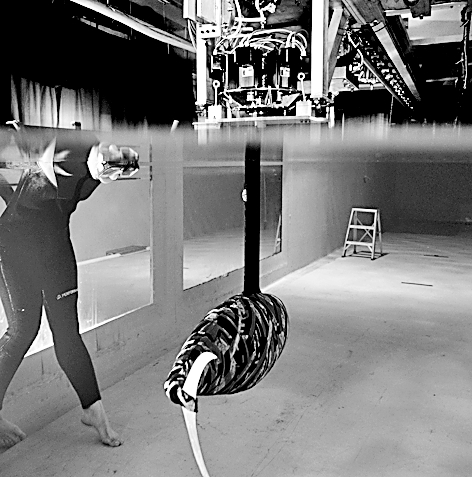 软体机器人：柔软的智能“生命”