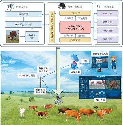 放牧机器人“慧眼识牛”
