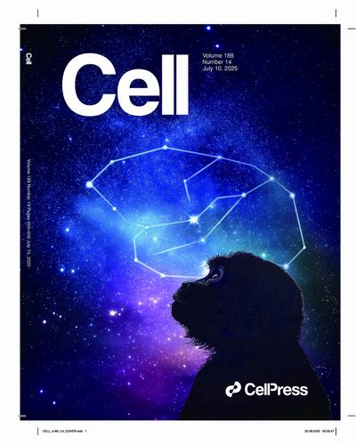 攻坚“终极问题”,中国脑图谱绘制迈出重要一步