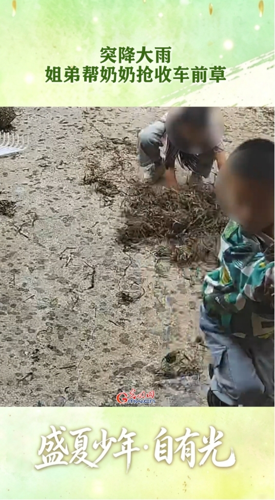 @同学们,奔赴新学期|那些细碎温暖的瞬间,拼凑出盛夏少年的模样 @同学们,奔赴新学期|那些细碎温暖的瞬间,拼凑出盛夏少年的模样