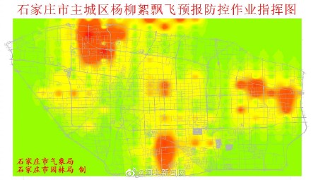 注意查收！石家庄柳絮预报防控作业指挥地图来了