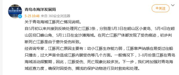 青岛海域发现3条死亡江豚 官方：初步判断为意外受伤所致