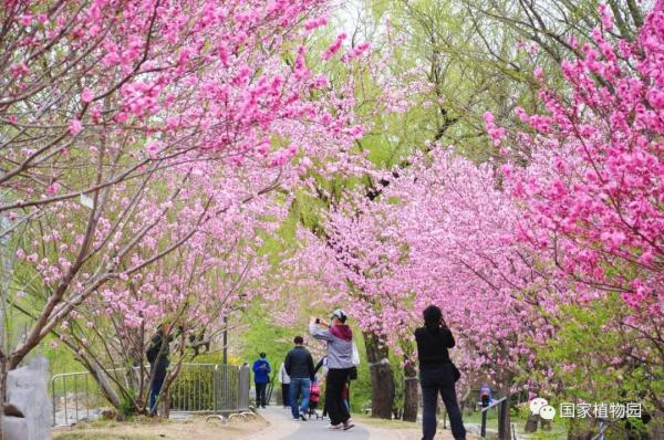 国家植物园正式揭牌，游览攻略、购票方式都在这里了！