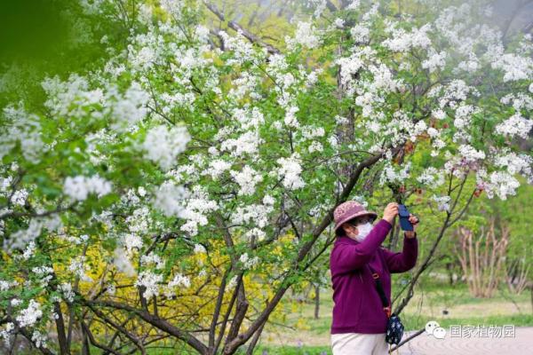 国家植物园正式揭牌，游览攻略、购票方式都在这里了！