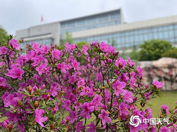 中东部再迎升温浪潮 南方阴雨范围缩减