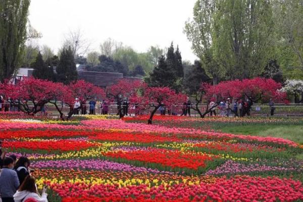 神奇植物在哪里？国家植物园四大看点