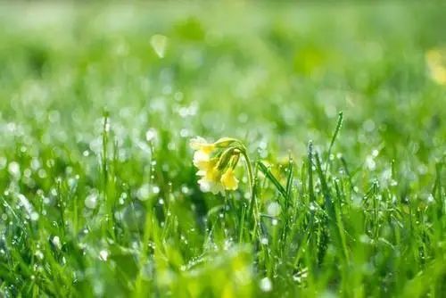 今日辽宁省内降水大风“联手”登场，局部伴有扬沙或浮尘