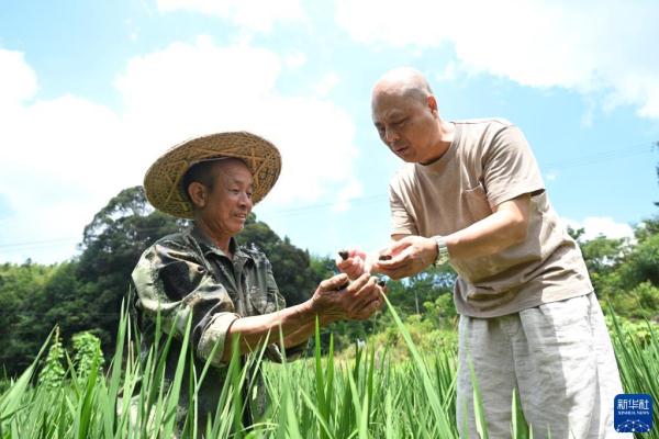 福建建瓯：农业特色产业勃兴