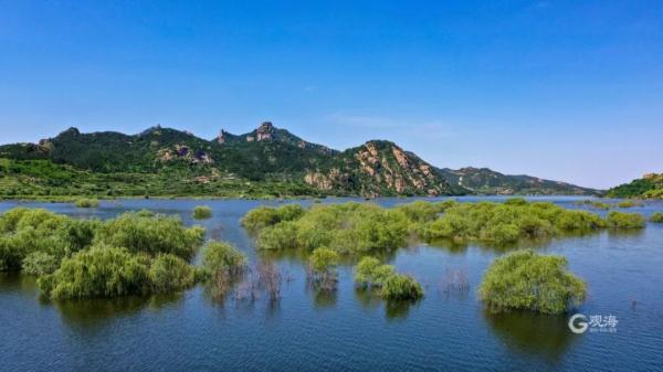 雨又来！青岛明天最低温19℃，“青岛蓝”又刷屏了→