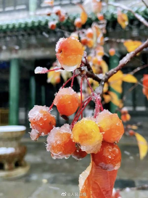 辽宁发布暴雪Ⅱ级预警！但这只是个开始