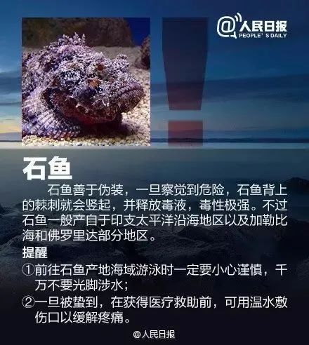 可致心脏骤停！这种“塑料袋”千万别碰，有剧毒→