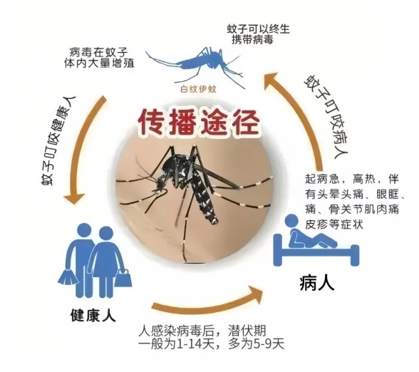 海南疾控发布重要提醒