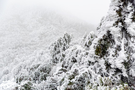 落雪为安！小雪节气全国赏雪地图 出炉 带你看粉装玉砌山河颜