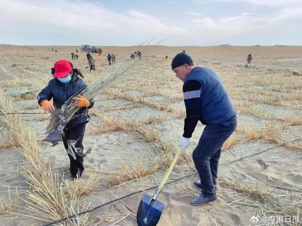 锁边“合龙”！塔克拉玛干沙漠的围巾织好了