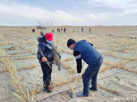 锁边“合龙”！塔克拉玛干沙漠的围巾织好了