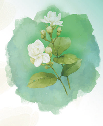 “立夏称人”是古代的体检吗?(二十四节气二十四问) “立夏称人”是古代的体检吗?(二十四节气二十四问)