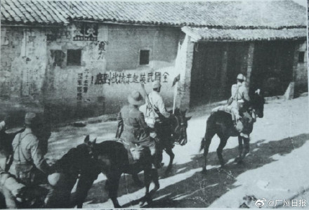 广东不仅有“南京照相馆”还有“东极岛”