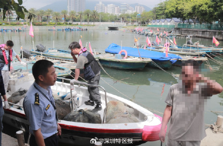 深圳945艘渔船等待开渔