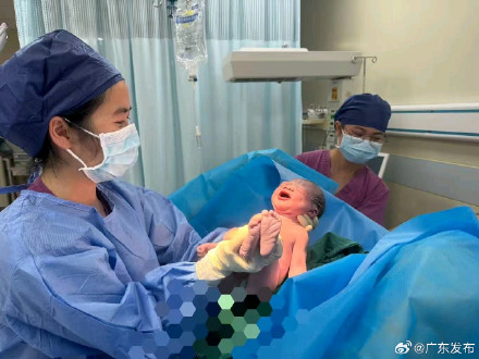 “桦加沙宝宝”在珠海金湾的风雨中降生