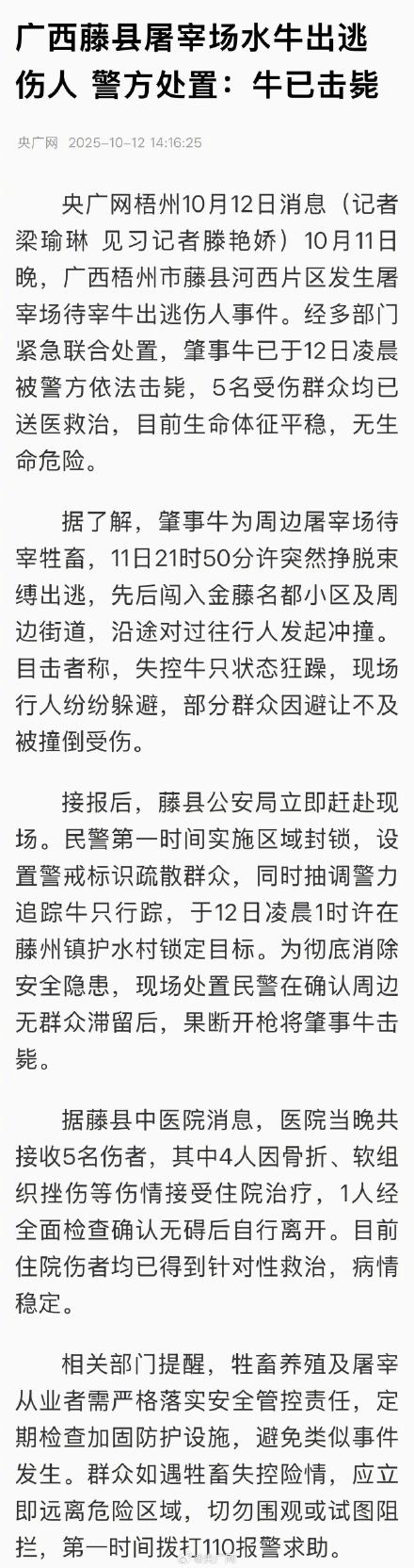 广西一屠宰场水牛出逃致5人受伤