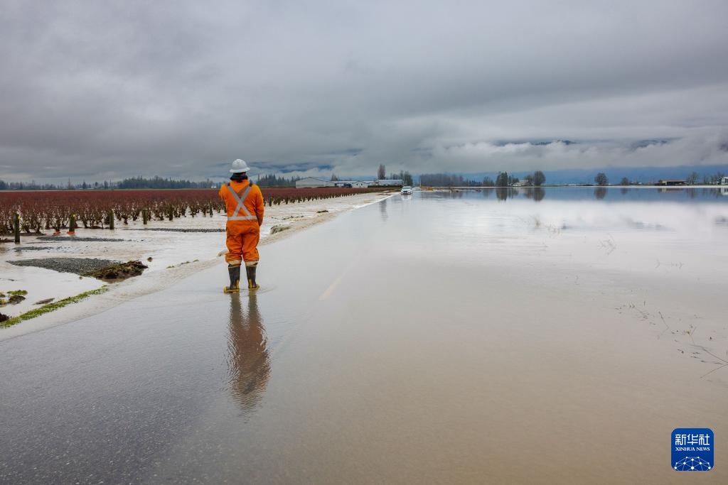 加拿大不列颠哥伦比亚省发生洪涝 加拿大不列颠哥伦比亚省发生洪涝