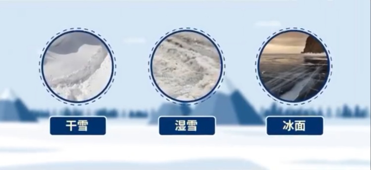 寒潮来袭,走路“打出溜滑”?劝你多学企鹅走路 寒潮来袭,走路“打出溜滑”?劝你多学企鹅走路