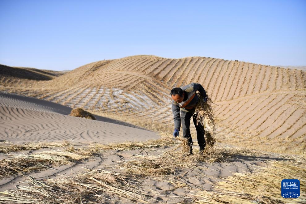 甘肃阿克塞:雪后忙治沙 甘肃阿克塞:雪后忙治沙